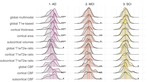 Multimodal imaging improves brain age prediction and reveals distinct abnormalities in patients with psychiatric and neurological disorders