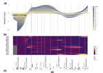 Oxytocin receptor expression patterns in the human brain across development